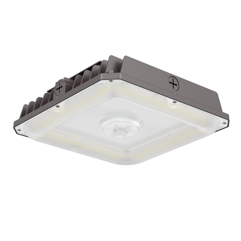 LED Canopy & Garage Light